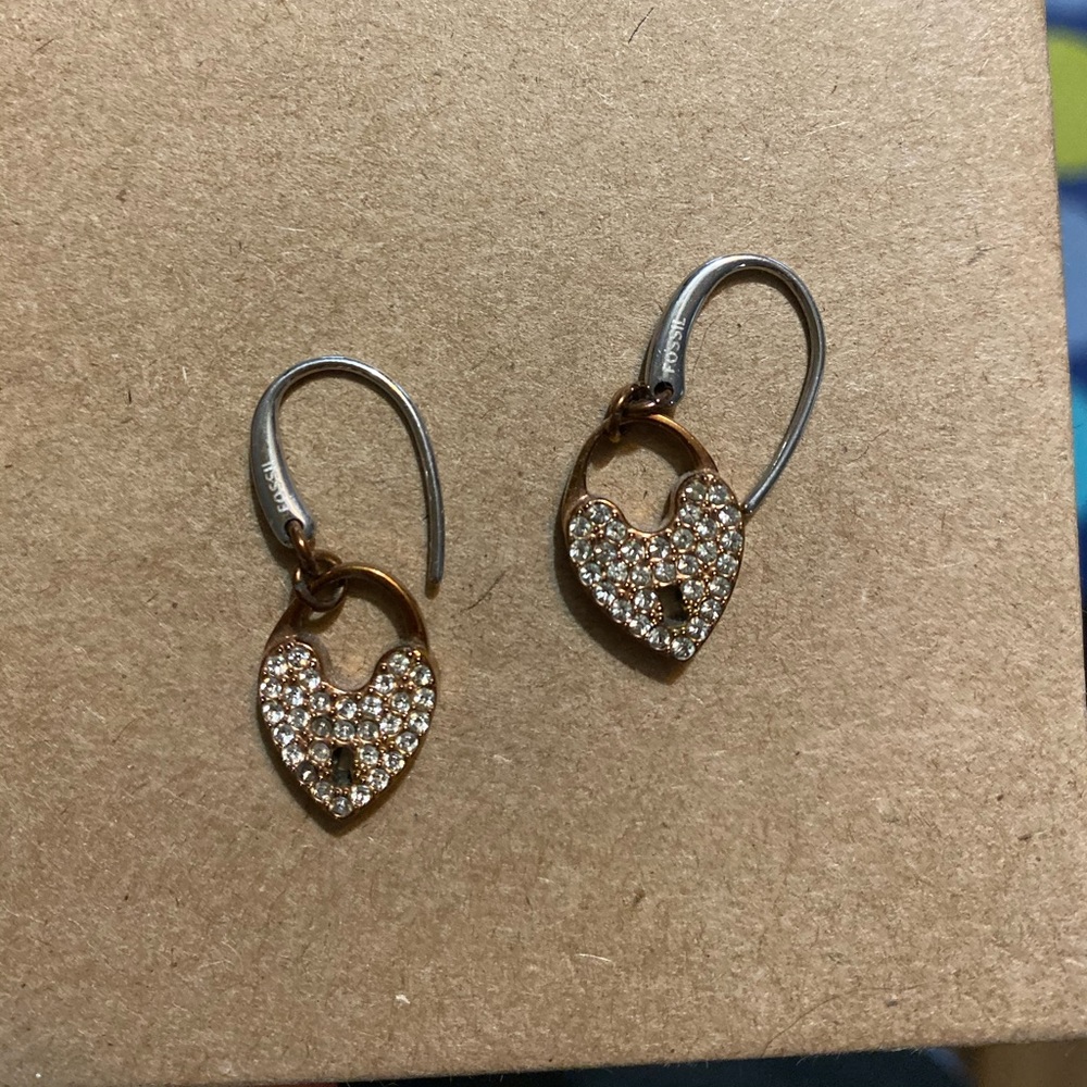 Fossil earrings